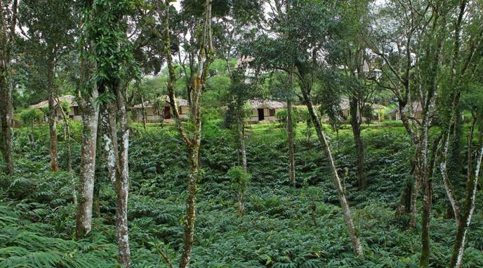 Kerala Package Rs.8999/- Munnar -Thekkady - Alleppy - Kumorakom